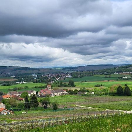 فيلا Le Coq De Champagne Dormans المظهر الخارجي الصورة